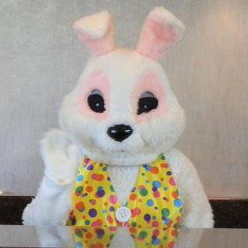 Meet your Posher, Max